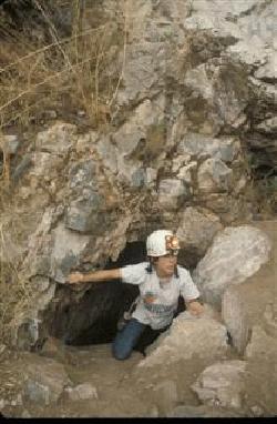 Corredores del desierto.